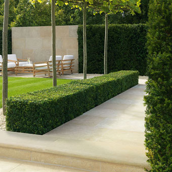 Mediterranean Garden Paving Ideas